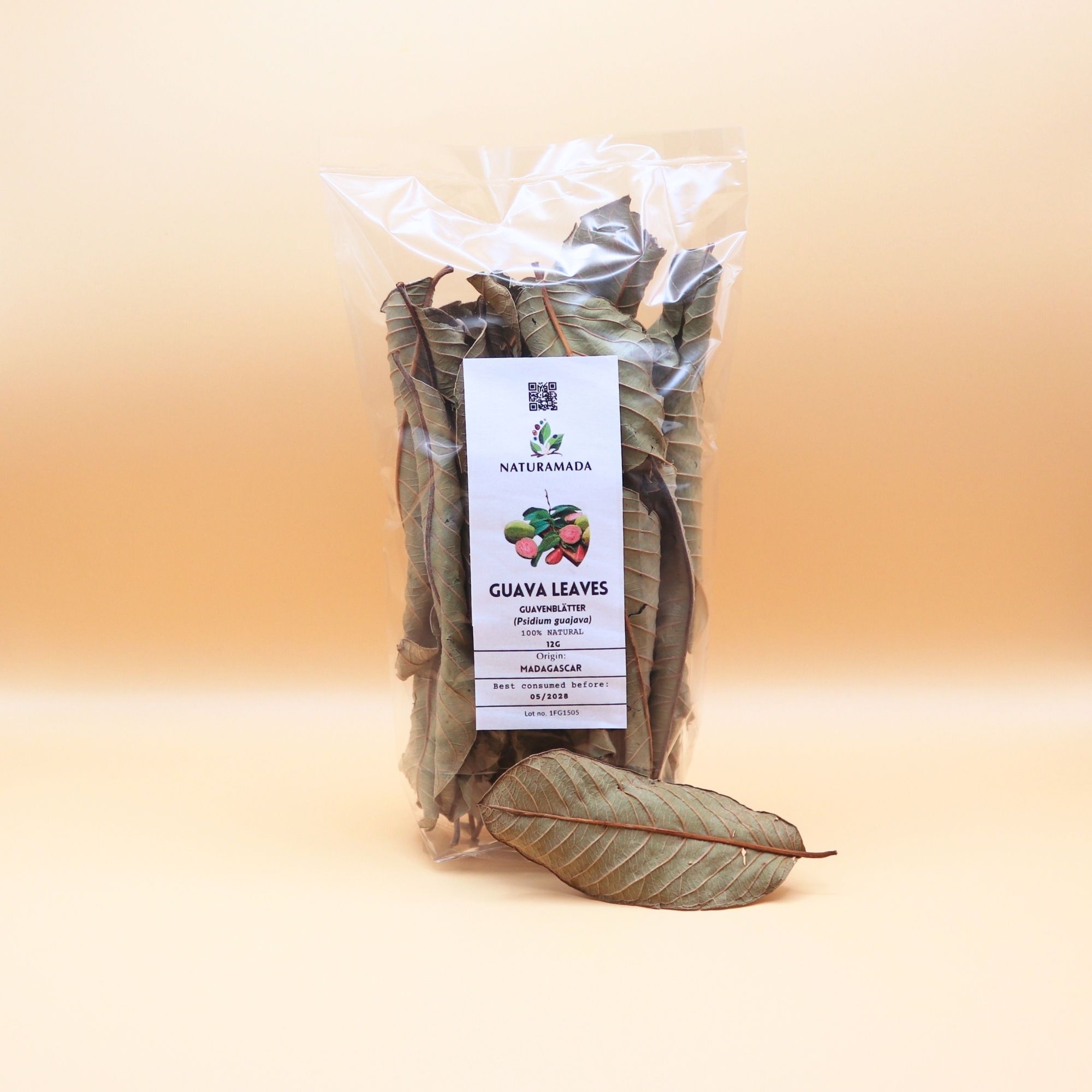 Feuilles de goyavier – 12 g