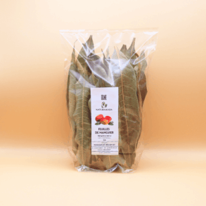 Feuilles de Manguier