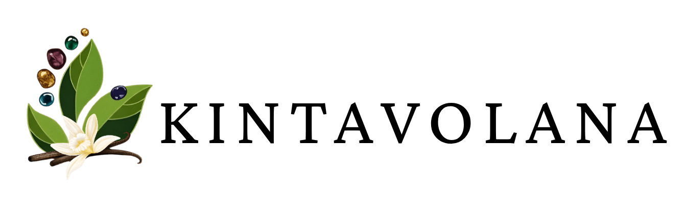 cropped logo kintavolana.png