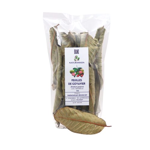 infusion feuille entière goyave madagascar Naturamada